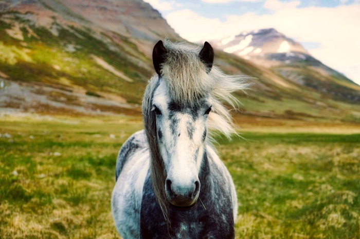 bellezas islandia viajes a islandia 2018