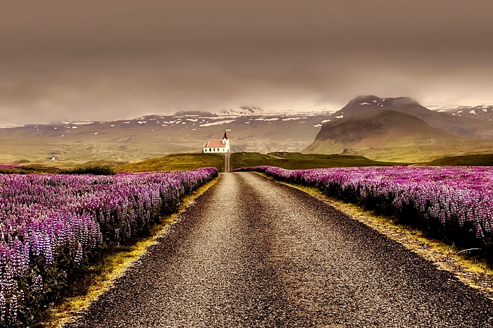 reykjavik aurora viajar a islandia ruta islandia 07