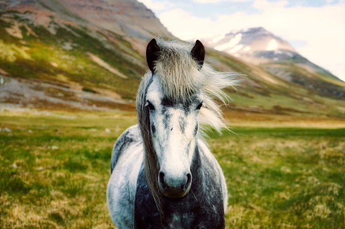 suroeste de islandia viajes a islandia 03