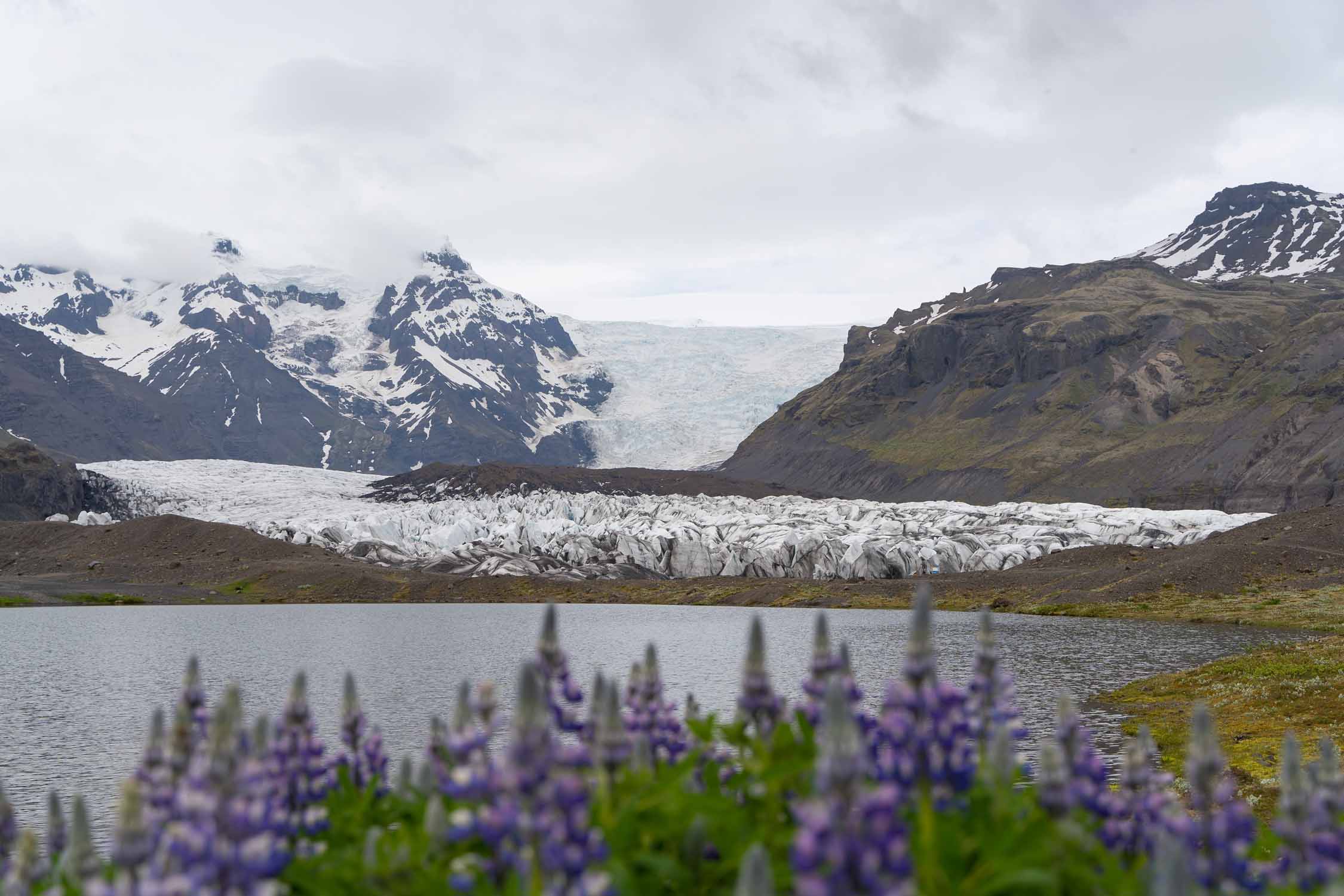 Svínafellsjökull-glaciar-islandia